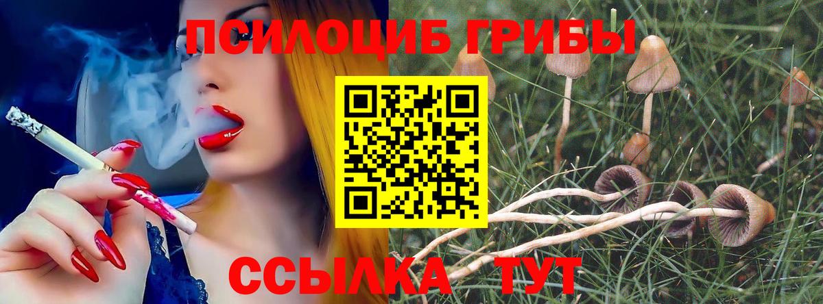 Псилоцибиновые грибы Psilocybe  Галлюциногенные грибы мицелий  Новосибирск  наркота  Вход с VPN 