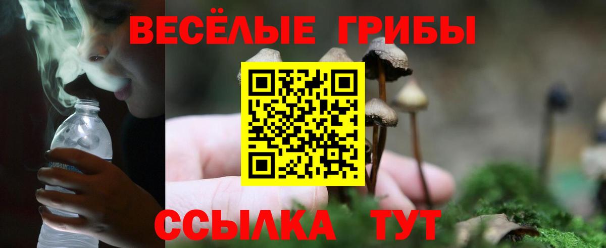 Псилоцибиновые грибы мухоморы Новосибирск